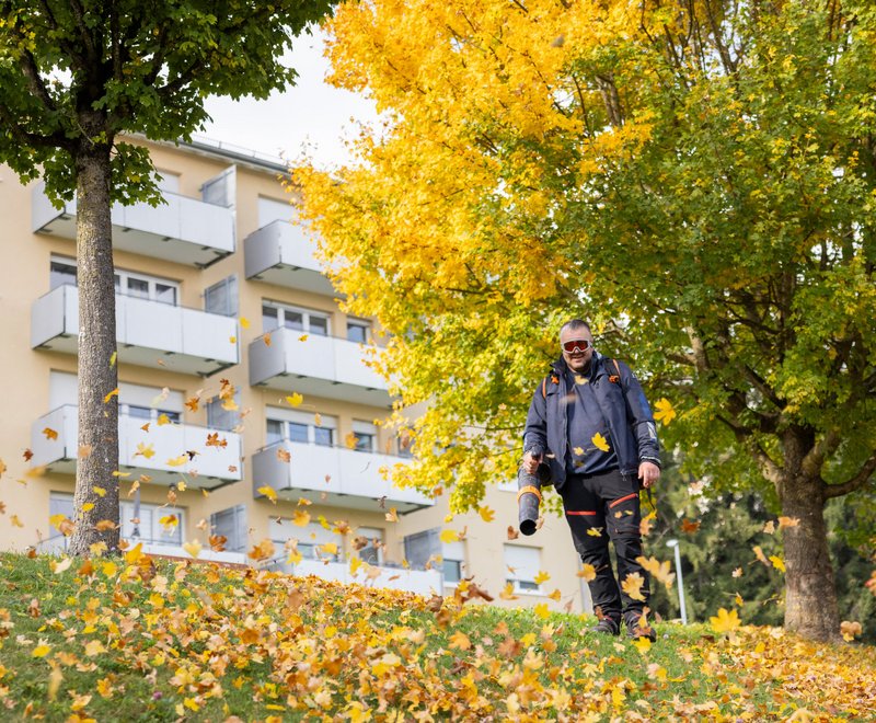 Herbstliche Wohnanlage der SWG Ein Mann benutzt in einem Park einen Laubbläser, während bunte Herbstblätter von den Bäumen fallen. Im Hintergrund sind Wohngebäude zu sehen.