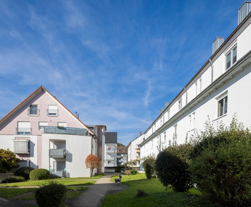 Allmandstraße Wohungen SWG Wohnsiedlung mit gepflegten Grünflächen, Büschen und Bäumen zwischen hellen Mehrfamilienhäusern unter klarem blauem Himmel.